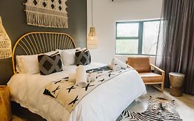 The Orpen Kruger, Cork Tree Collection